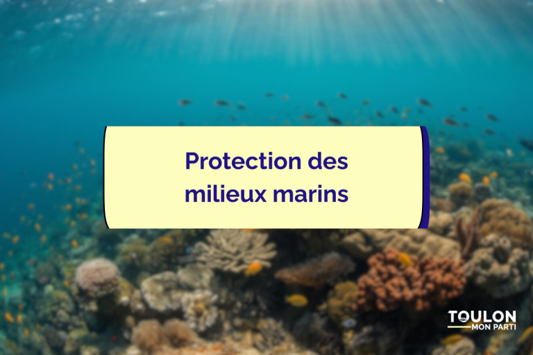 infiographie milieu marin