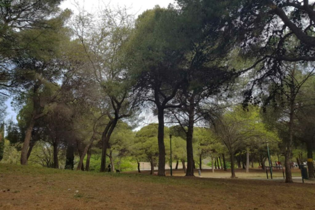 parc des lices
